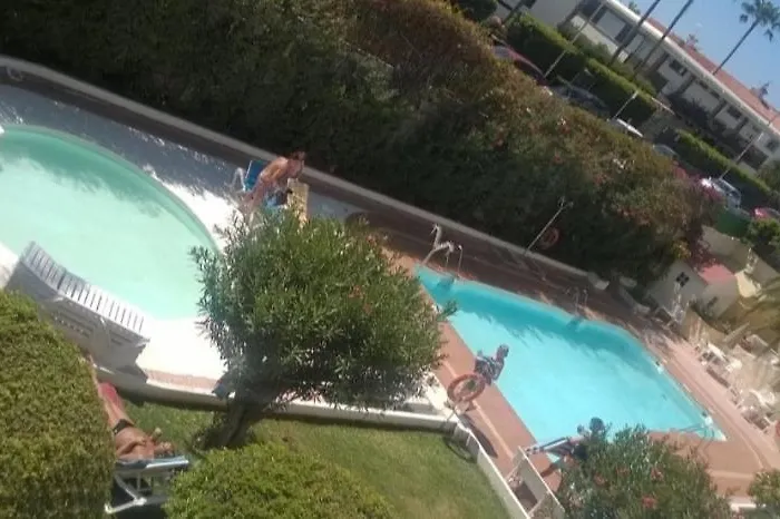 Don Quijote Apartman *